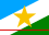 Bandeira do Estado de Roraima